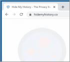 Hide My History Browserentführer