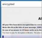 Revon Ransomware