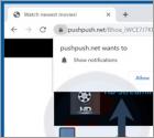 Pushpush.net Werbung