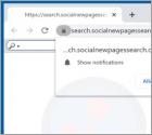 SocialNewPages Browserentführer