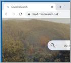 Mint Search Browserentführer