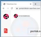 TiktokSearches Browserentführer