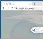 Burst Search Browserentführer