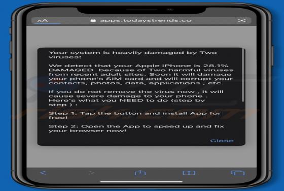 Your System Is Heavily Damaged By Two Viruses! POP-UP Betrug (Mac)