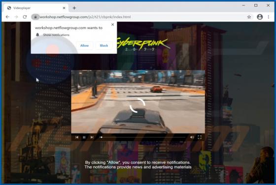 Netflowgroup.com Werbung