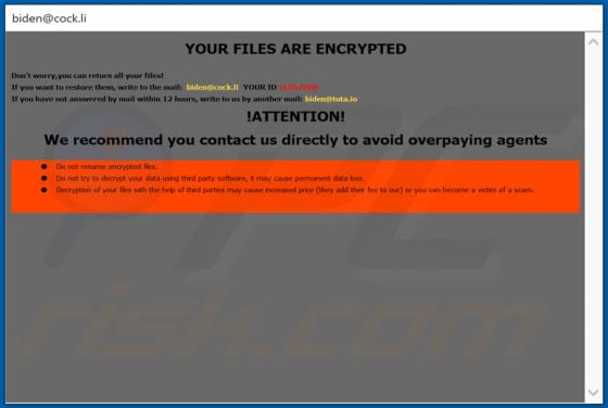 Biden Ransomware