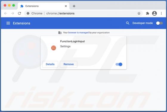 FunctionLogInput Browserentführer (Mac)