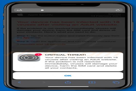 Device Infected After Visiting An Adult Website POP-UP Betrug (Mac)