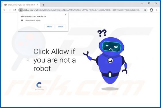 Aloha-news.net Werbung