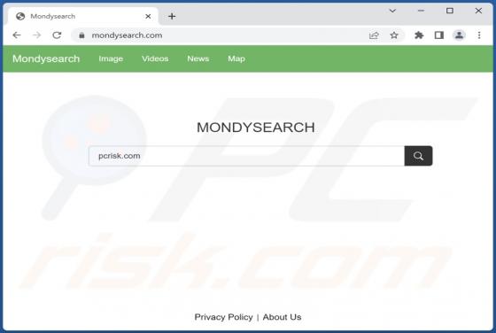 Mondy Search Browserentführer
