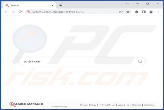 Search-Mgr Browserentführer