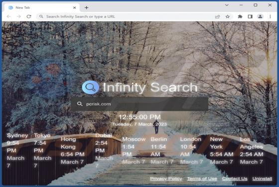 Infinity Search Browserentführer