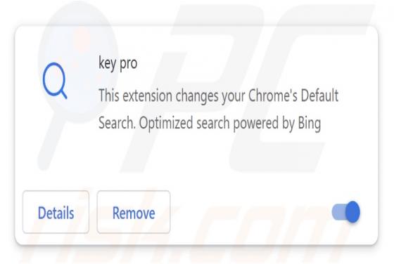 Key Pro Browserentführer