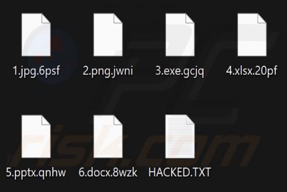 Mad Cat Ransomware
