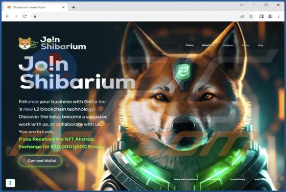 Shibarium Betrug