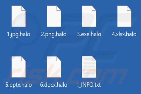 Halo Ransomware