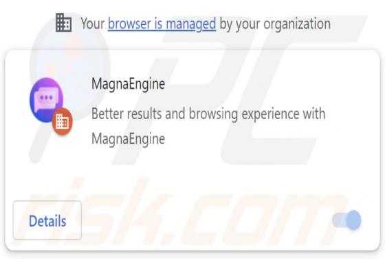 Magnasearch.org Weiterleitung