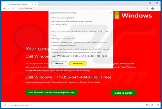 Error # 0x80092ee9 POP-UP Betrug