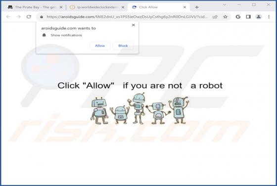 Aroidsguide.com Werbung