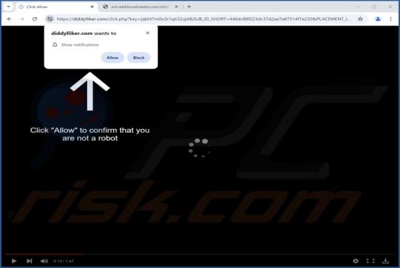 Diddylliker.com Werbung