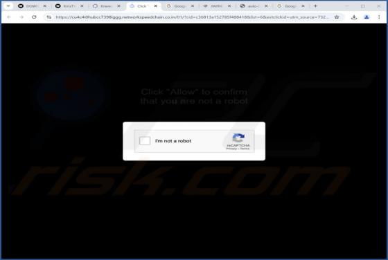 Networkspeedchain.co.in Werbung