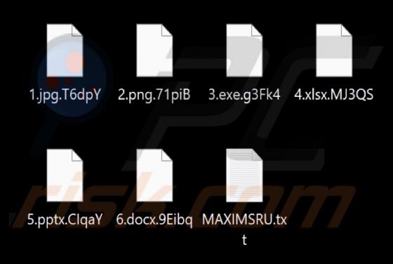 Maximsru Ransomware