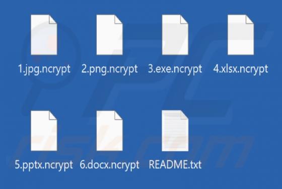 Nanocrypt Ransomware