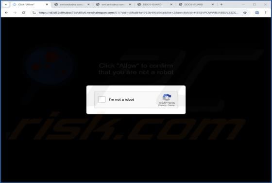 Netchainspan.com Werbung