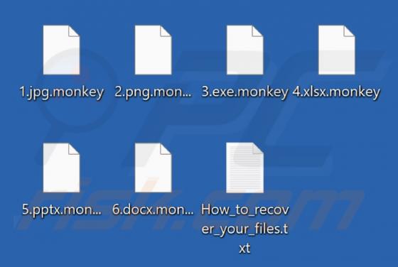 Monkey Ransomware