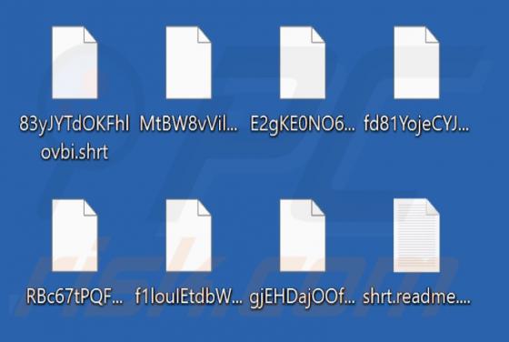 Black Shrantac Ransomware