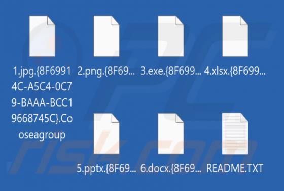 Cooseagroup Ransomware