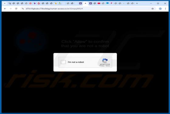 Human-access.co.in Werbung