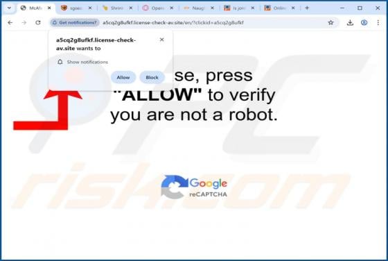 License-check-av.site Werbung