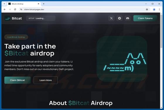 $Bitcat Airdrop Betrug