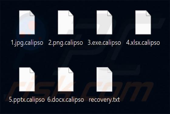 Calipso Ransomware
