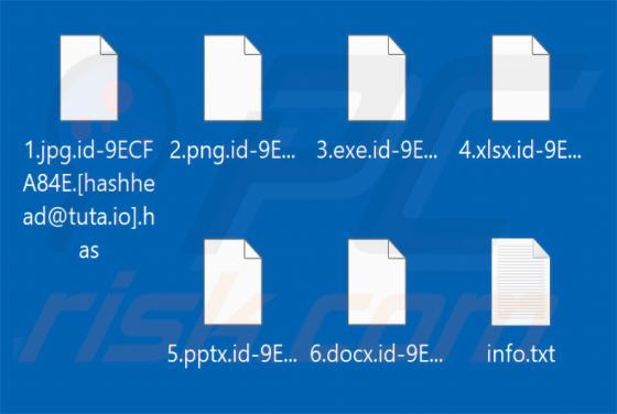 Has Ransomware