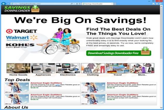 Savings Downloader Werbung