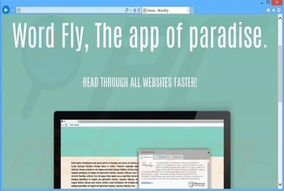 WordFly Werbung