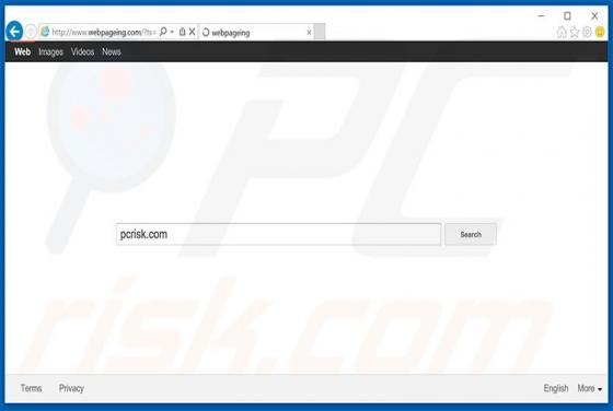 Webpageing.com Weiterleitung