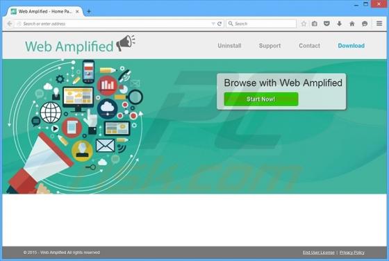 Web Amplified Werbung