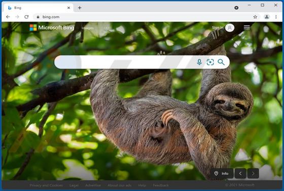 Bing.com Weiterleitung