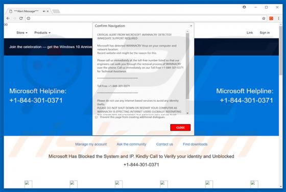 CRITICAL ALERT FROM MICROSOFT Schwindel