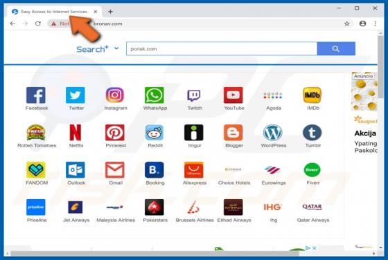 Easy Access to Internet Services Browserentführer