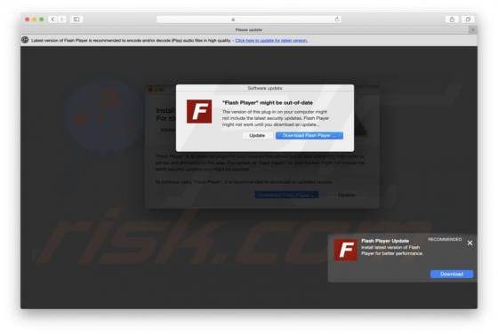 Flash Player Might Be Out Of Date POP-UP Betrug (Mac)