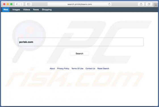 Search.pricklybears.com Weiterleitung (Mac)