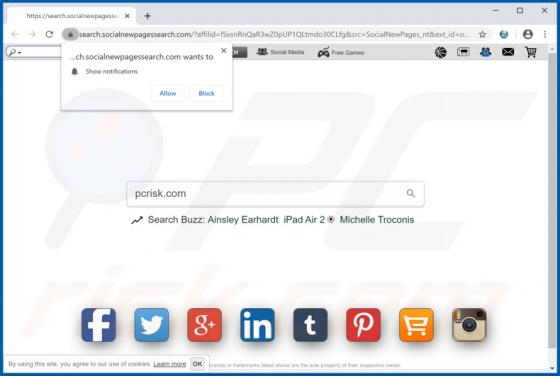 SocialNewPages Browserentführer
