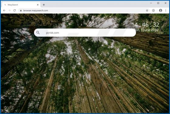 Mazy Search Browserentführer