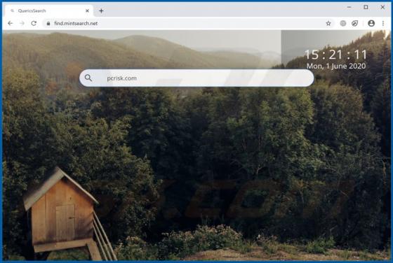 Mint Search Browserentführer
